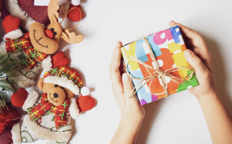  The Best Montessori Style Christmas Gift