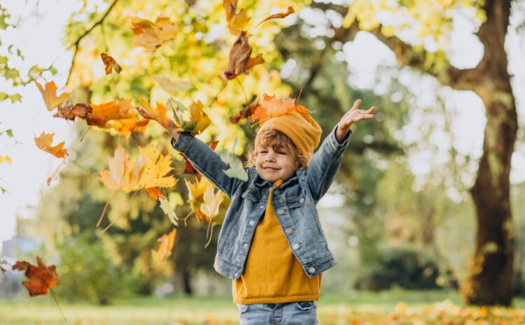  Montessori Experiments to Help Children Learn About Fall